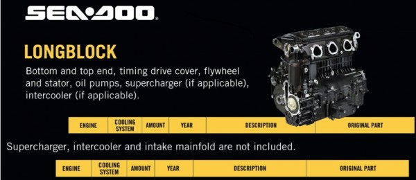 Long Block Engine ACE1603