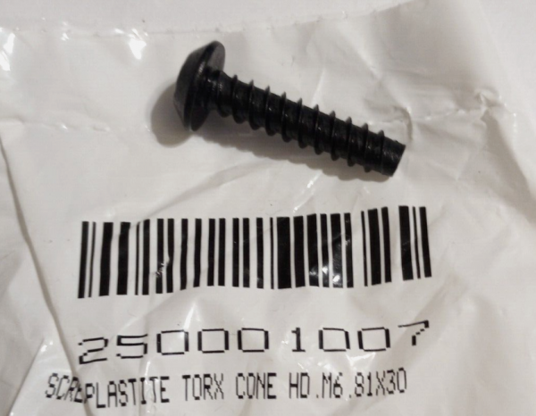 SCREW-PLASTITE TORX CONE HD.M6.81X30